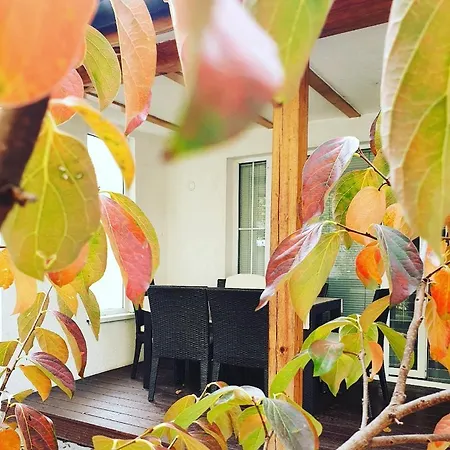 Apartment Arna